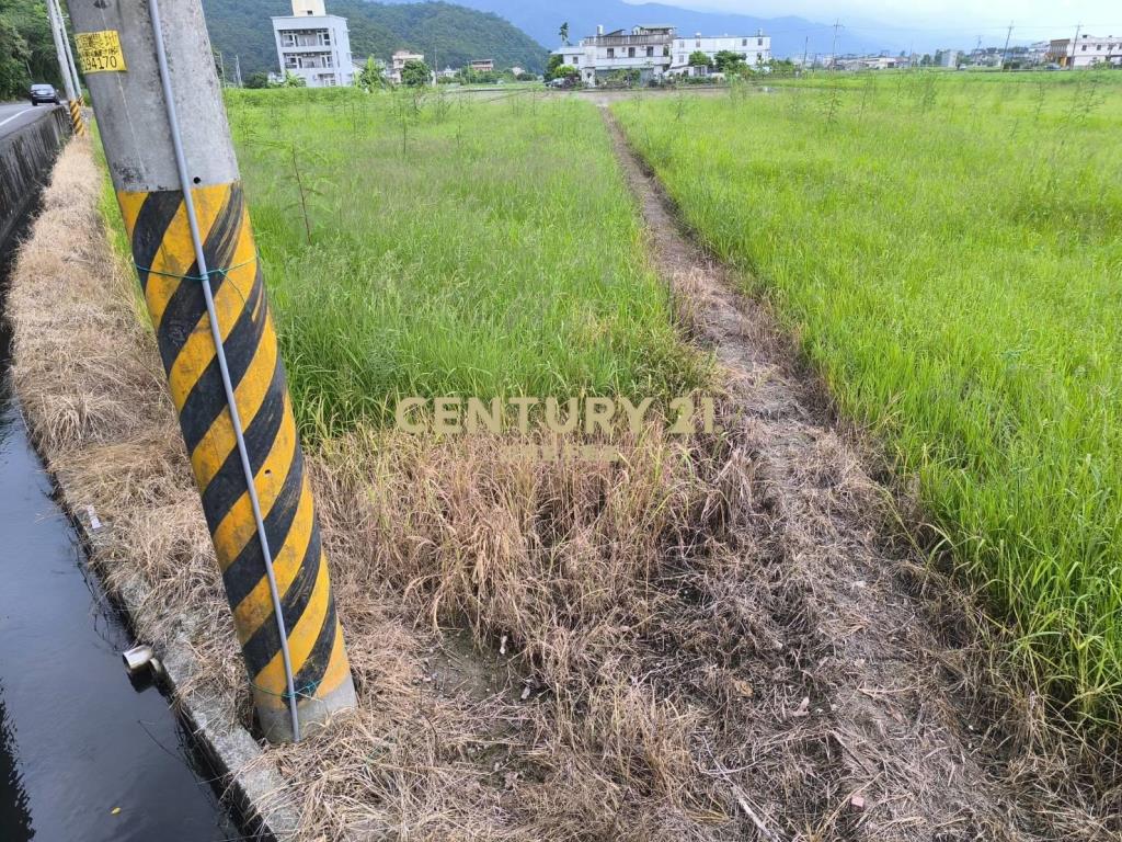 IC126山腳道路旁農地