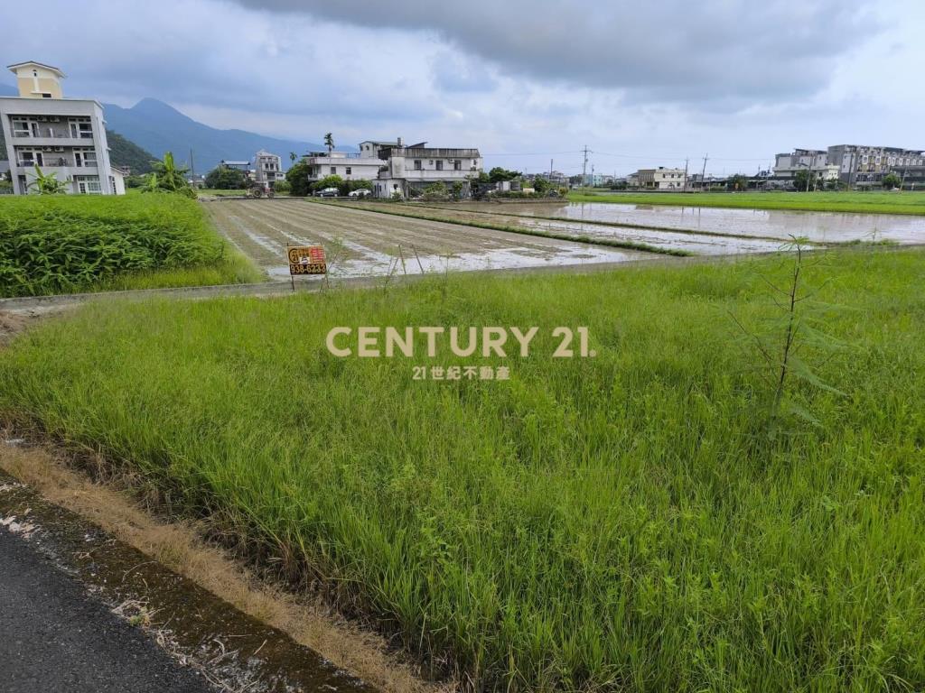 IC126山腳道路旁農地