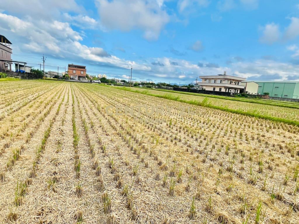 LC061宜市茭白段都計內大面寬美農地