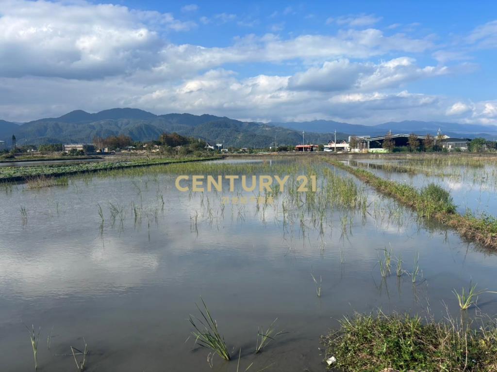 LC088三星大面寬足坪美農地