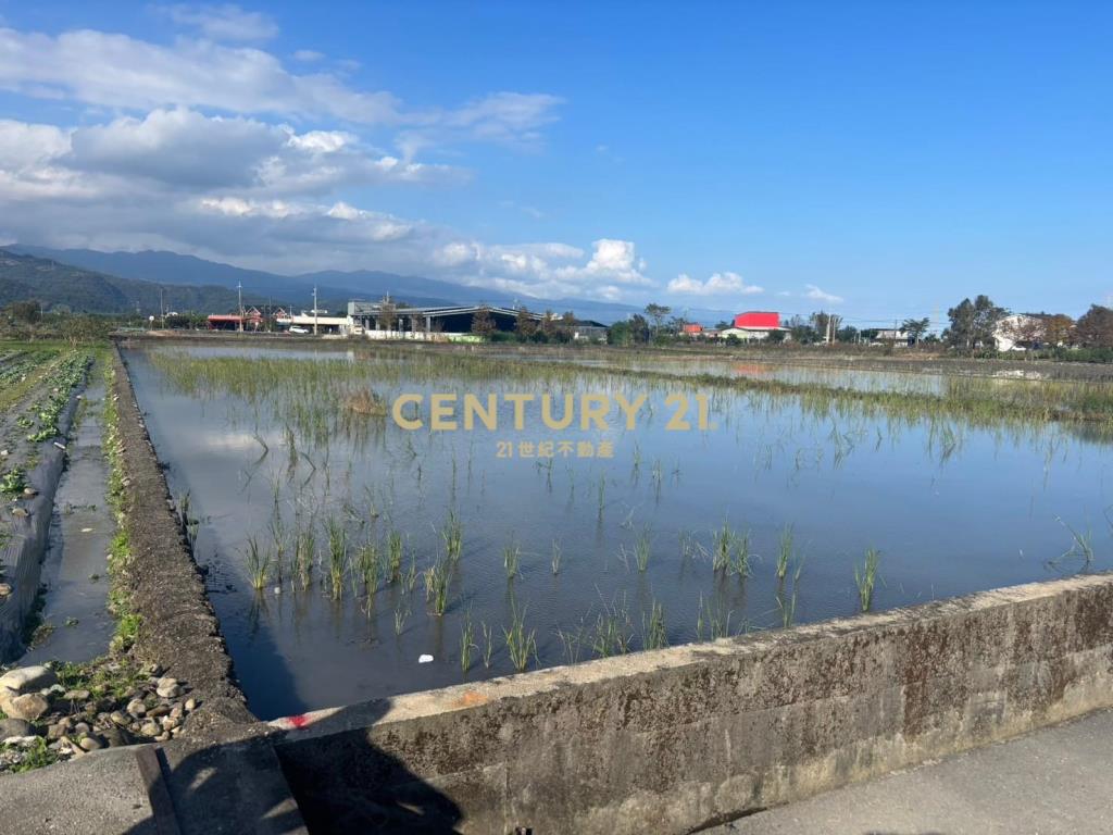 LC088三星大面寬足坪美農地