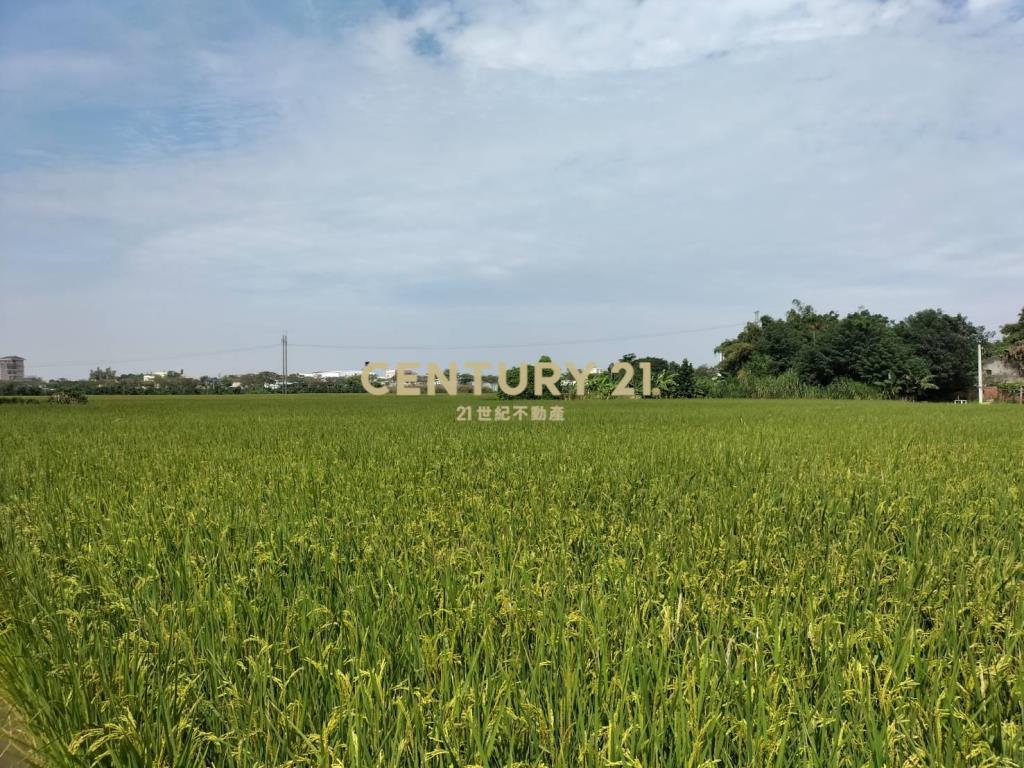 彰化東區城鄉發展2-3農地