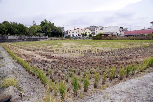 芬園鄉光華路旁雙面臨路農地廠房