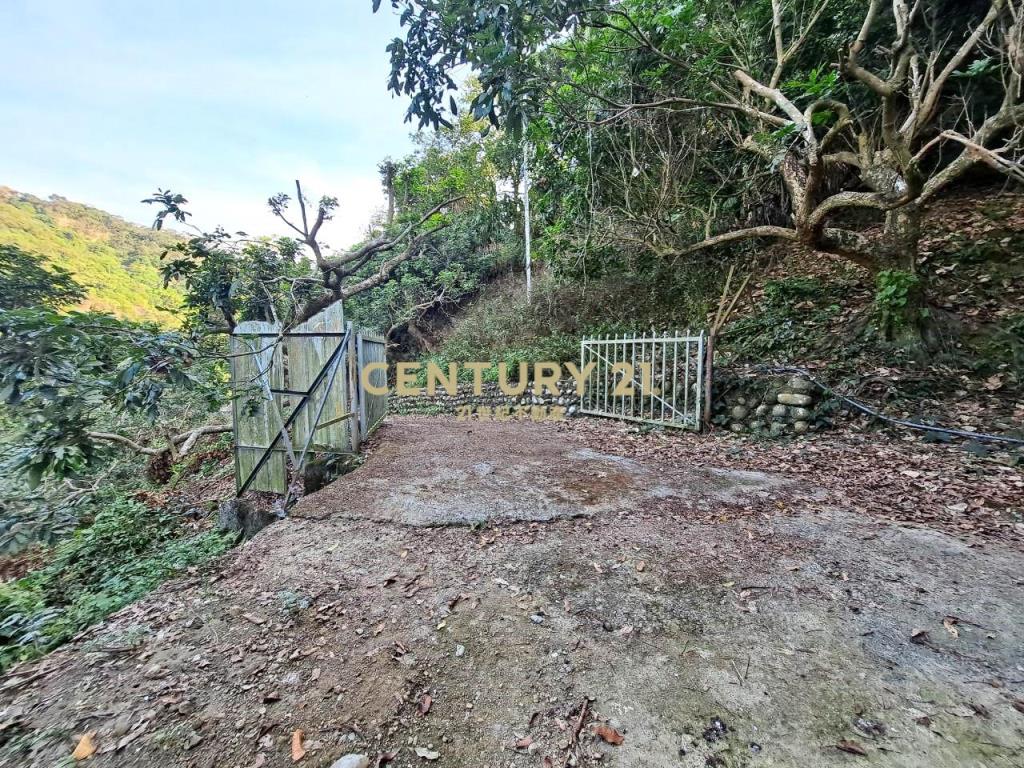 霧峰超級便宜水果園