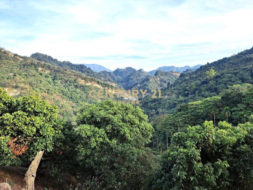 霧峰超級便宜水果園