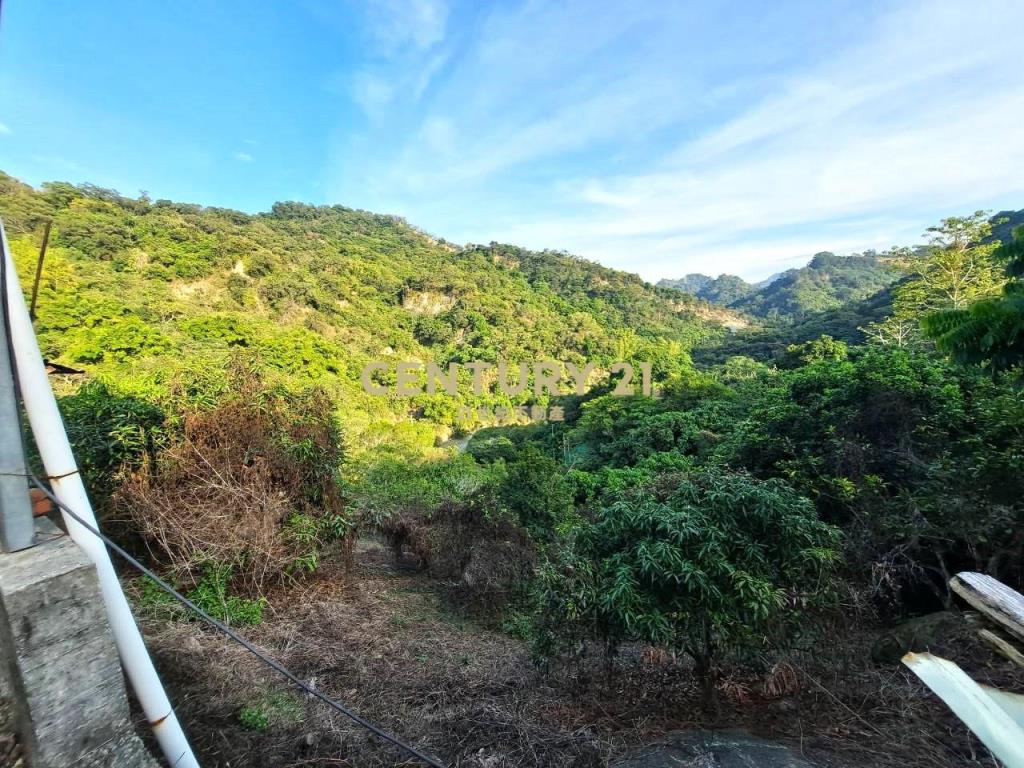 霧峰超級便宜水果園