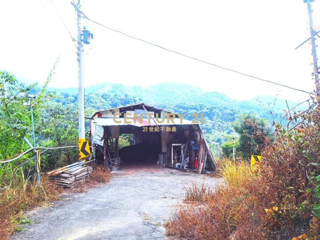 中坑國小牛樟園 買地送樹