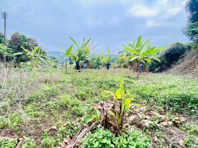 霧峰中坑有水有電農牧用地