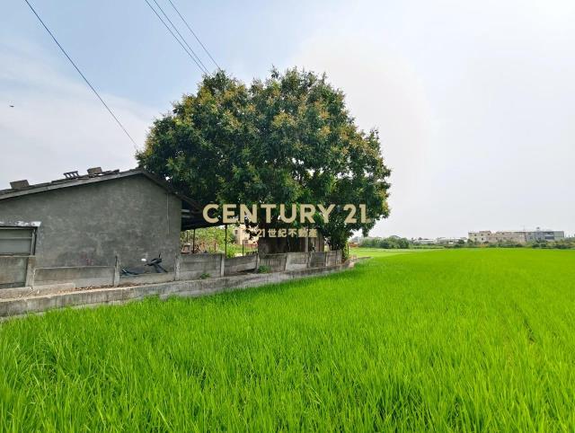 溪州中西段甲建