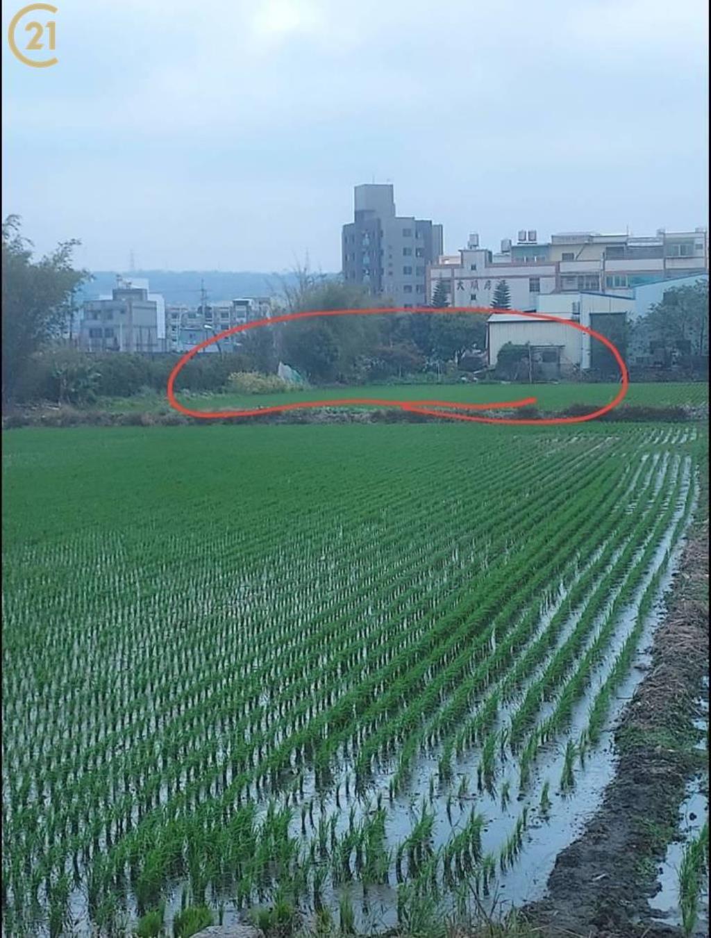 面公園梧棲住四建地