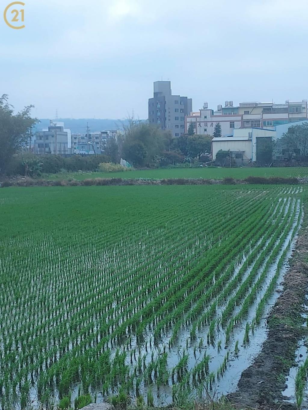 面公園梧棲住四建地