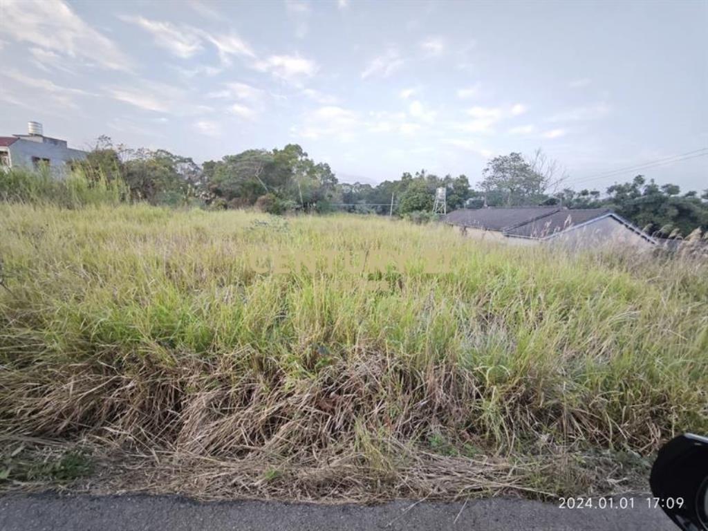 低總價臨路農地 有水有電