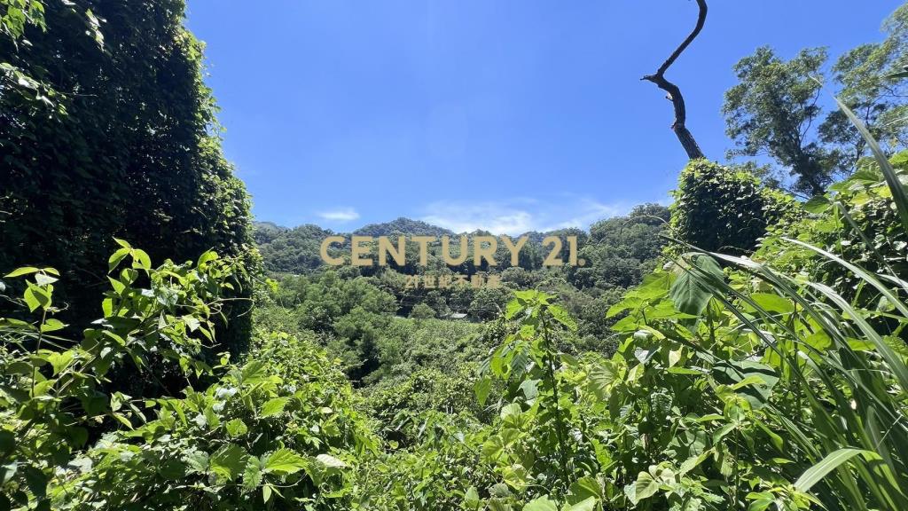 專任苗栗公館北河休閒林地