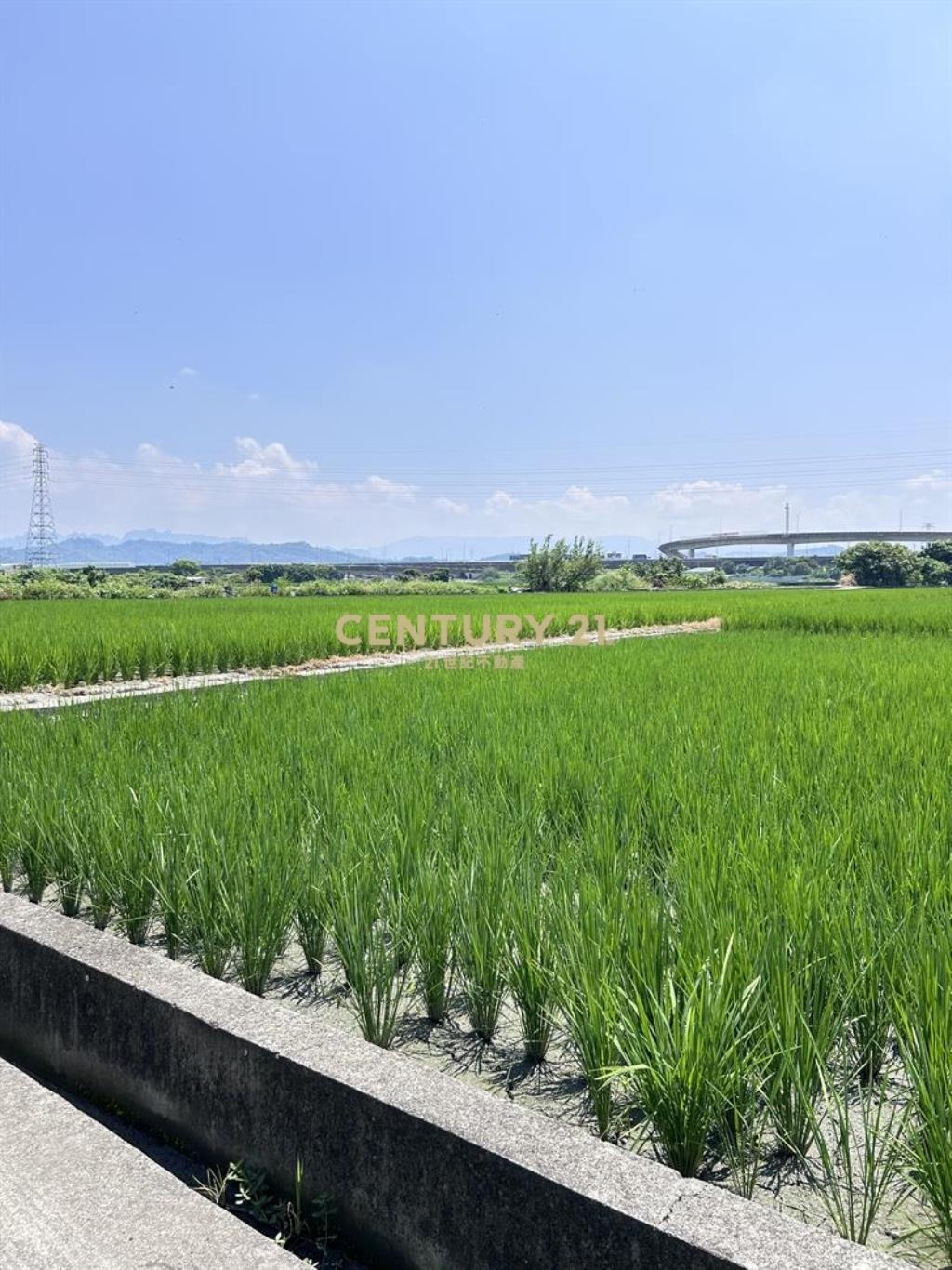 霧峰南勢西段農地565