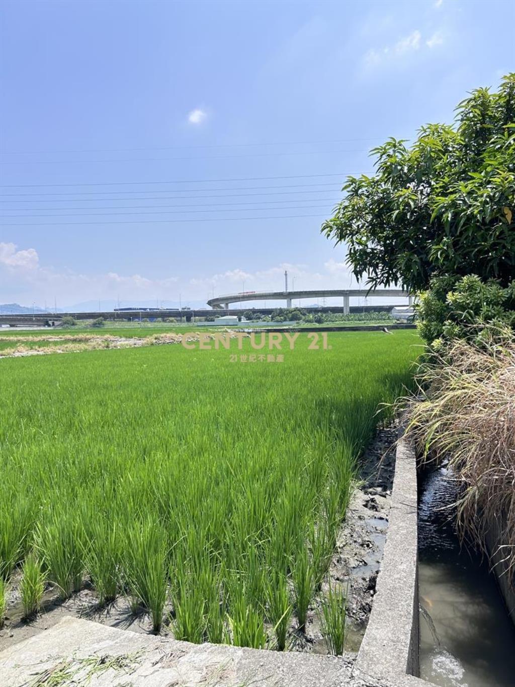 霧峰南勢西段農地565