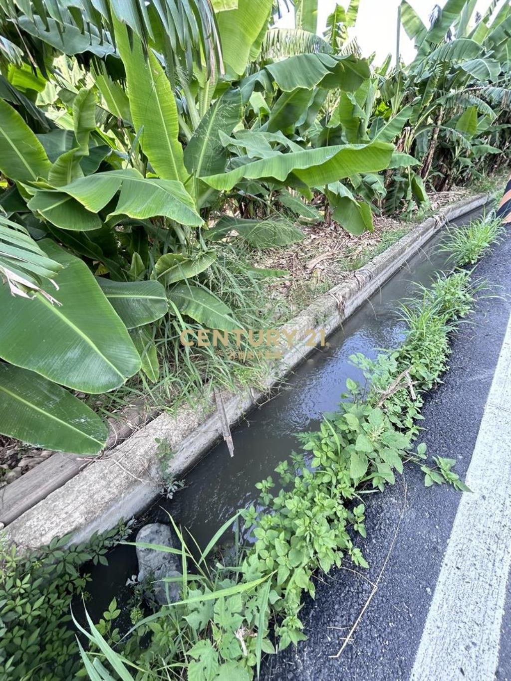 霧峰南勢西段農地651