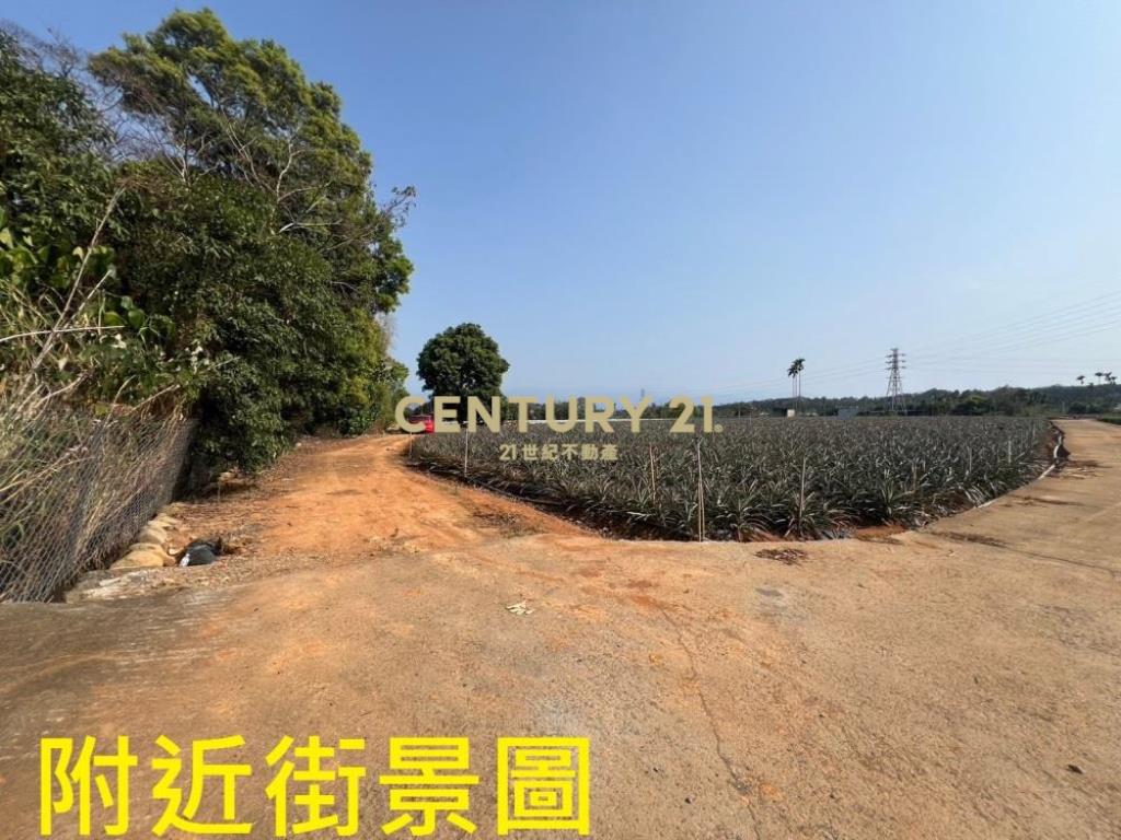 南投土地-名間竹圍920坪一般農農地