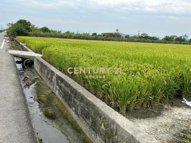 彰化土地-芬園近國三615坪農地