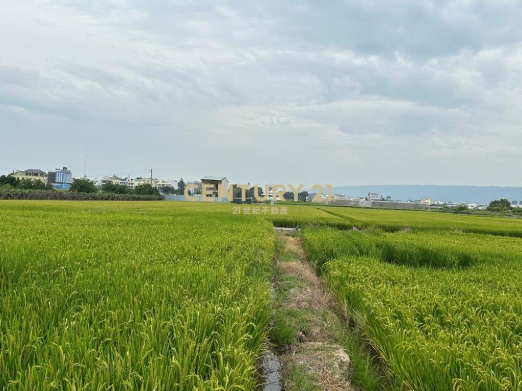 彰化土地-芬園近國三615坪農地