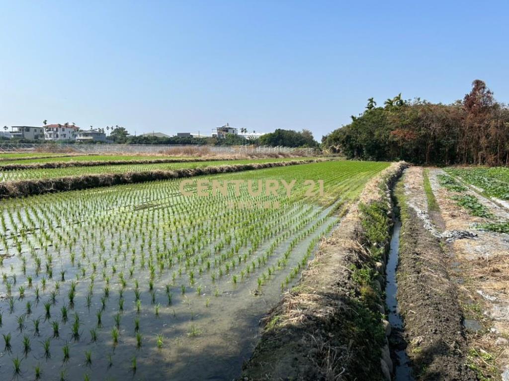 草屯土地-草屯都內持分農地