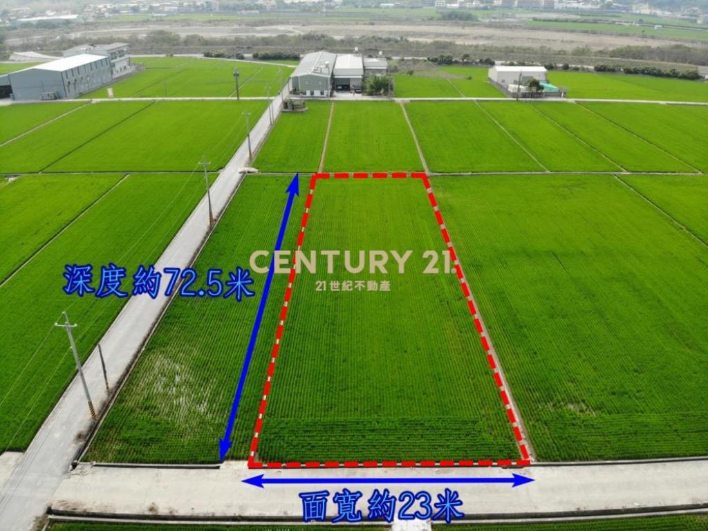 草屯土地-碧興路旁504坪方正農地