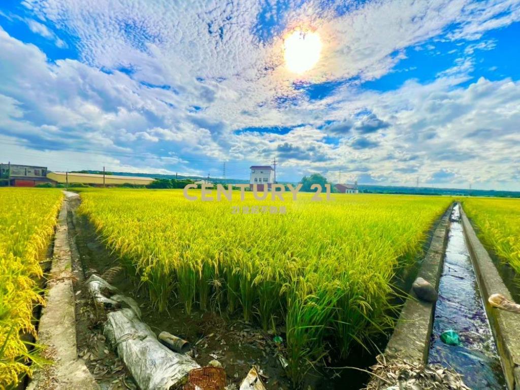 台中土地-溪尾經濟坪數方正小田