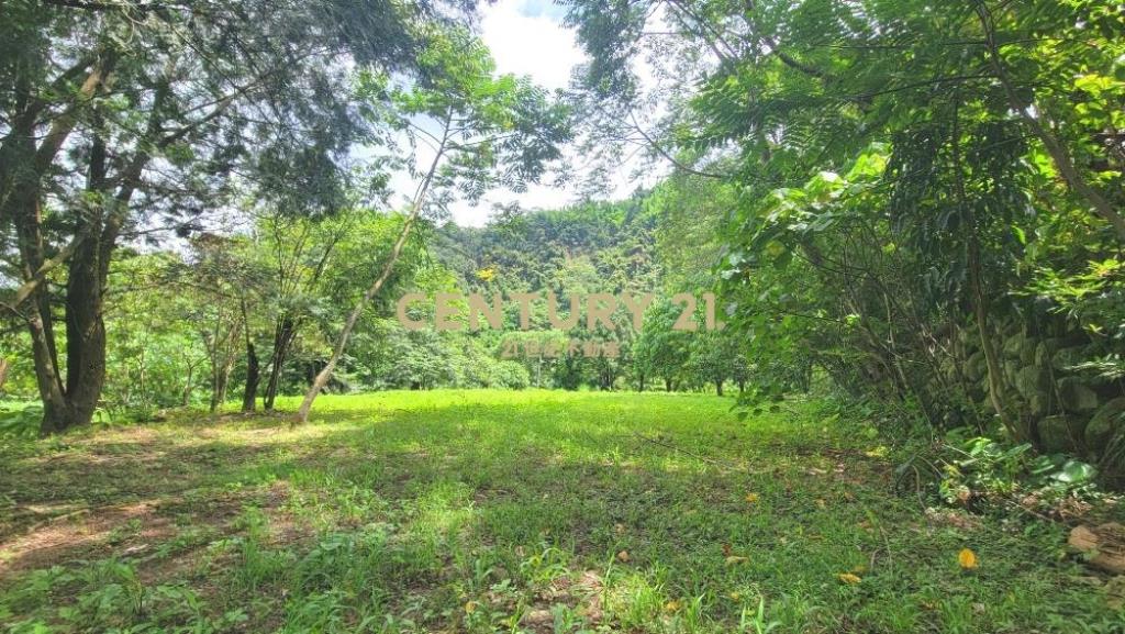 南投土地-國姓休閒養生農地+建地