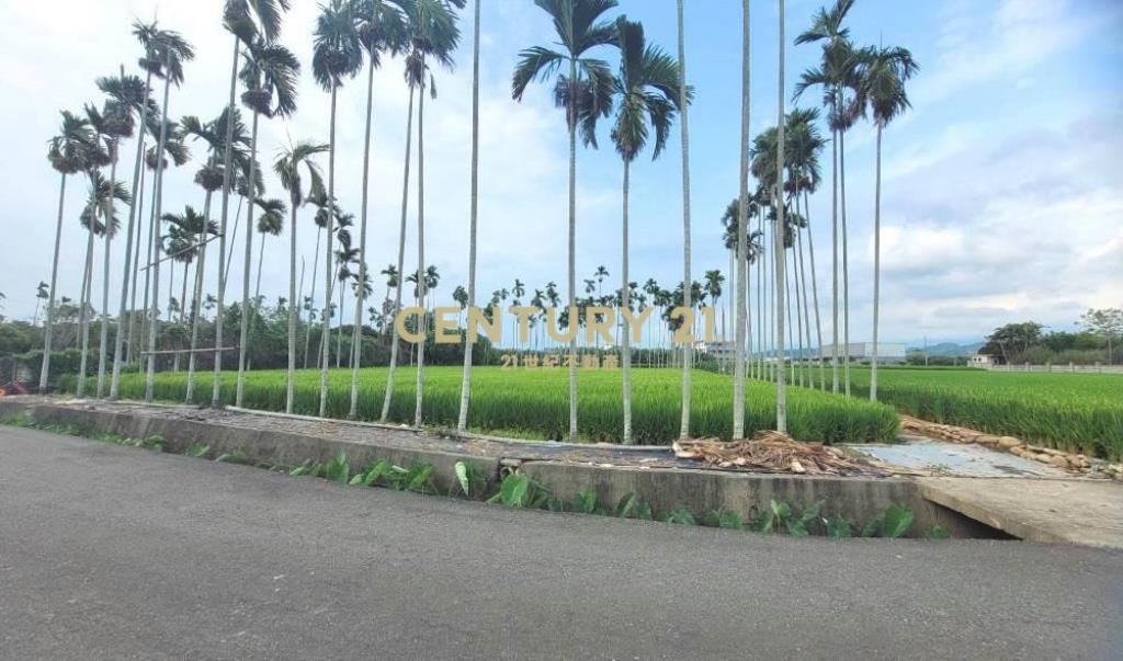 彰化土地-國三交流道旁方正農建地