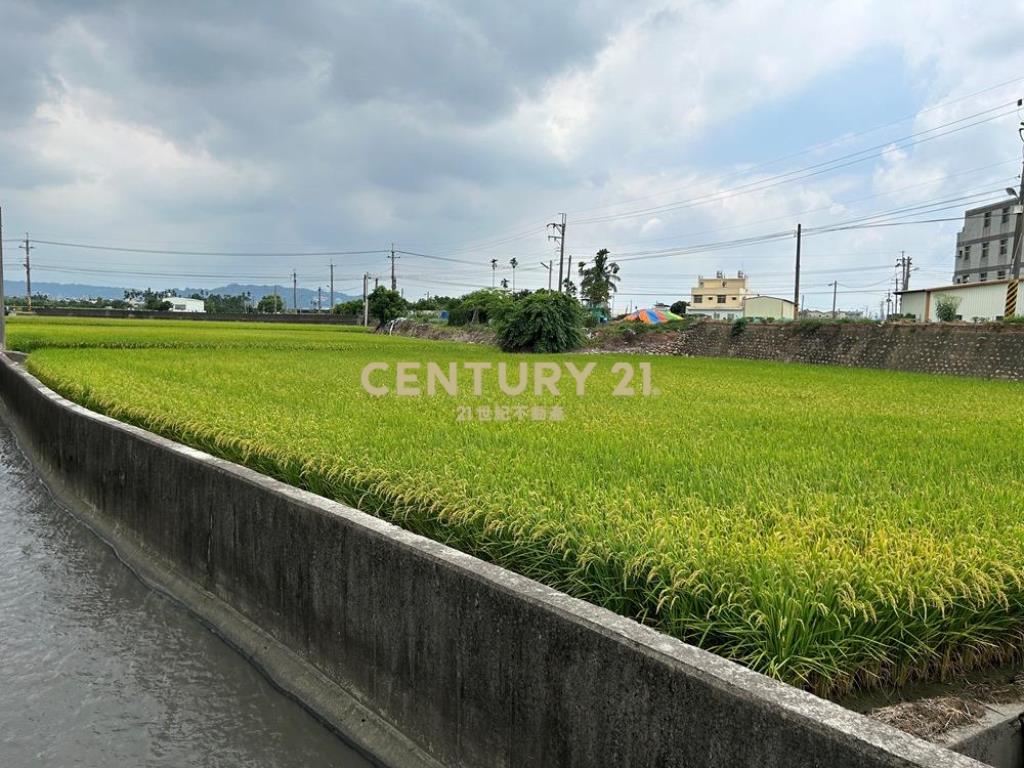 彰化土地-芬園嘉東街旁598坪農地