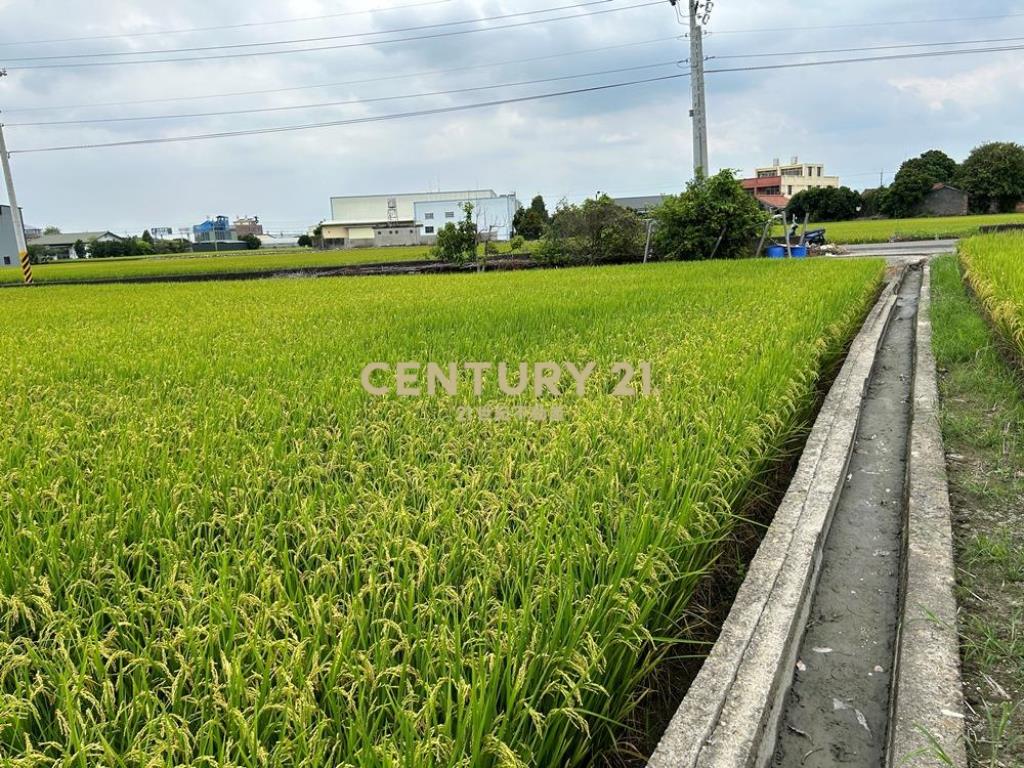 彰化土地-芬園嘉東街旁598坪農地