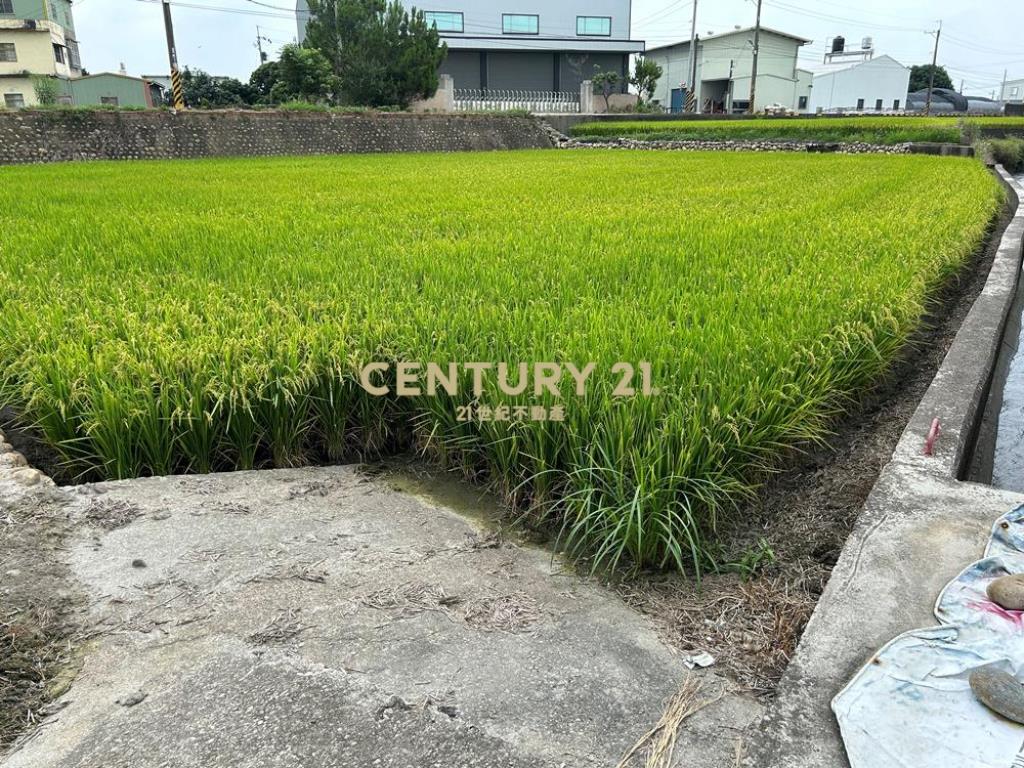 彰化土地-芬園嘉東街旁598坪農地