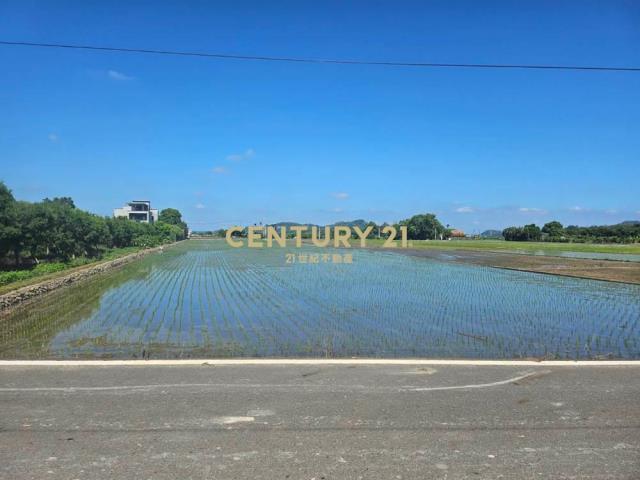 草屯土地-鳥嘴潭旁雙面路美田