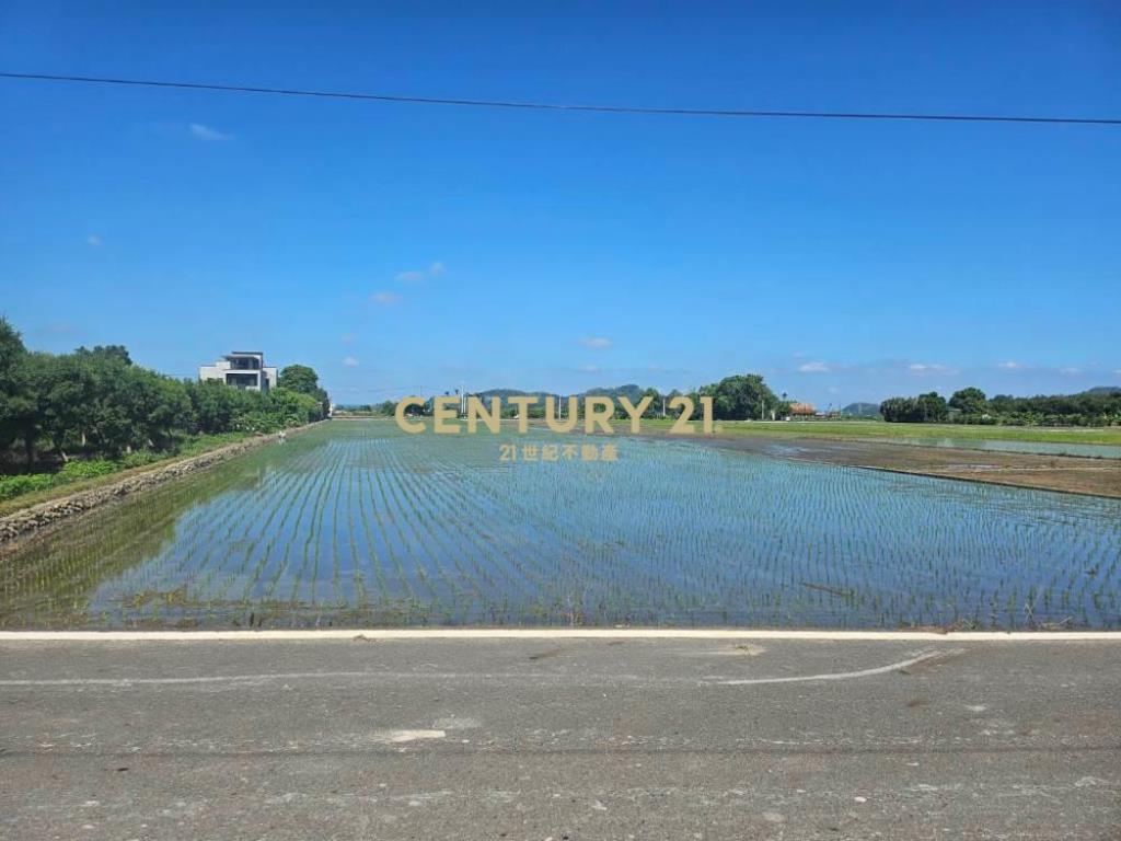 草屯土地-鳥嘴潭旁雙面路美田