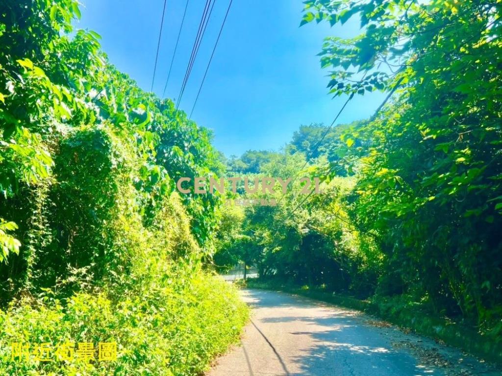 彰化土地-芬園低總價林業用地(三)