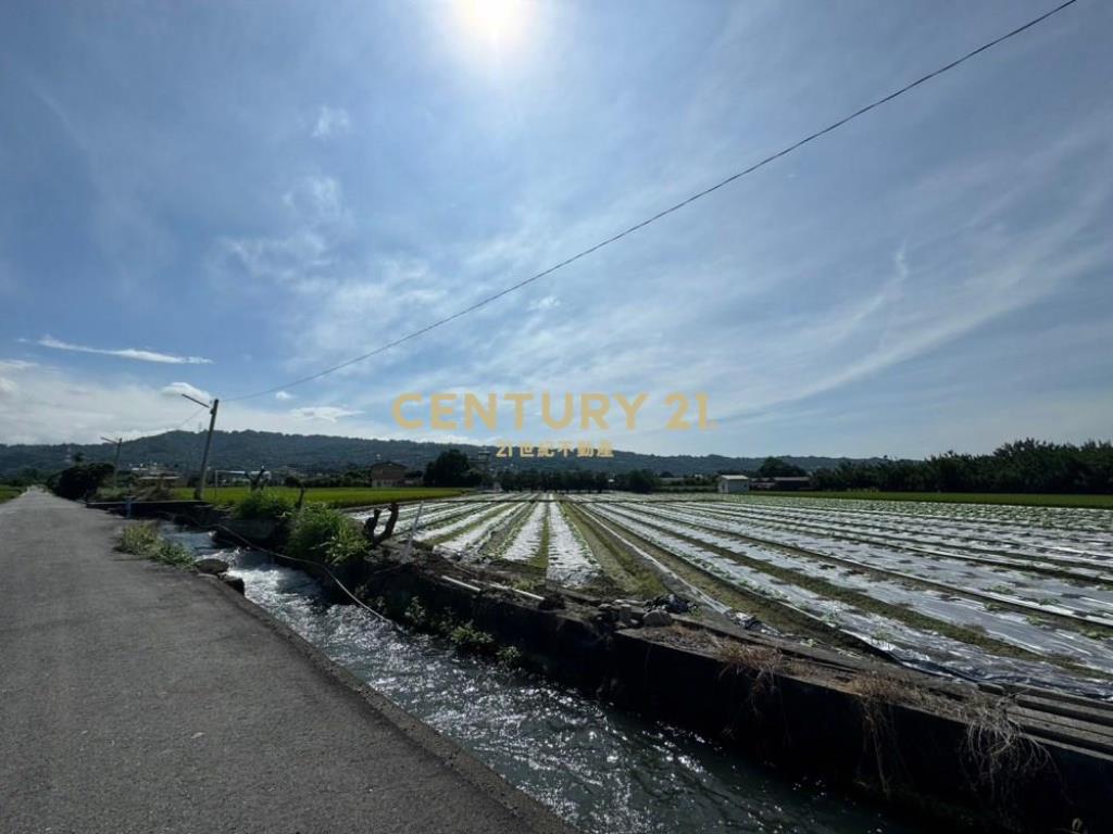 草屯土地-鳥嘴潭旁土城持分農地(一)