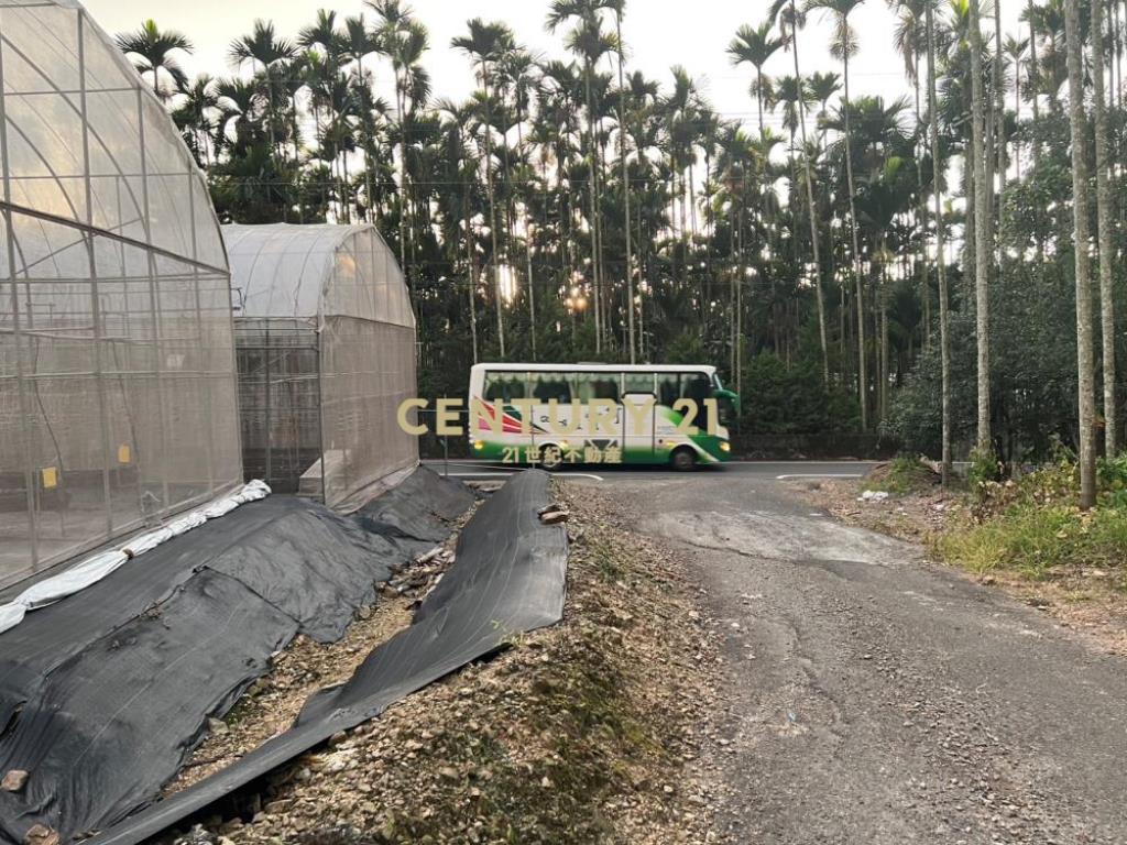 草屯土地-埔里水頭8.2分平坦農地