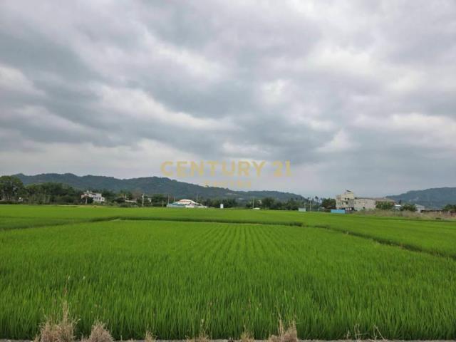 南投土地-南投市193坪都計內持分田