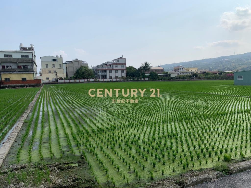 草屯鎮稀有千坪農地