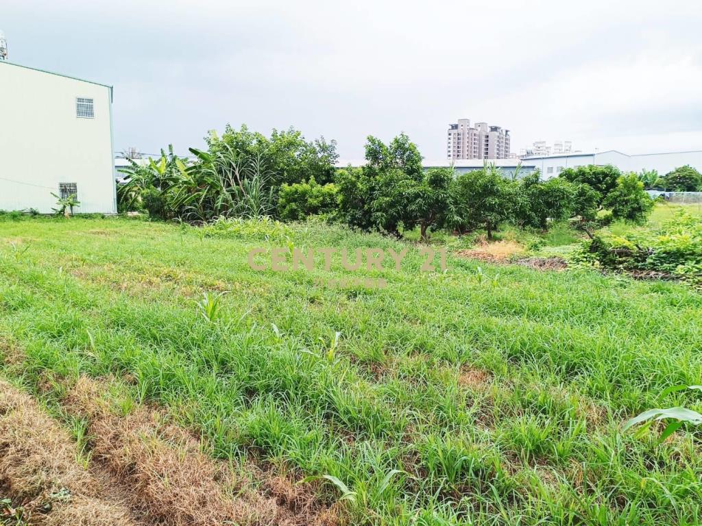 大里草湖公園都計內農地