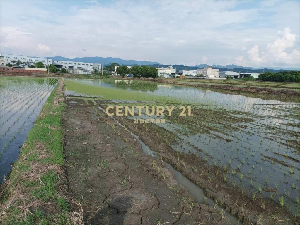 霧峰近四德路農地