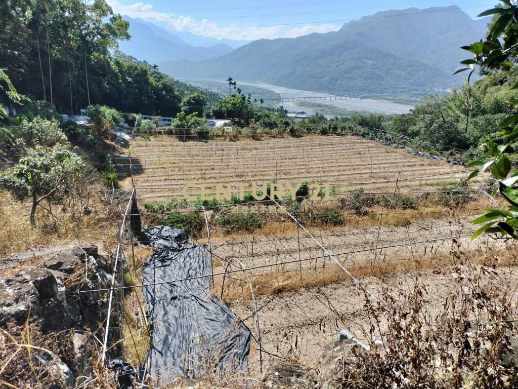 水里建地+景觀農牧用地(買地送屋)