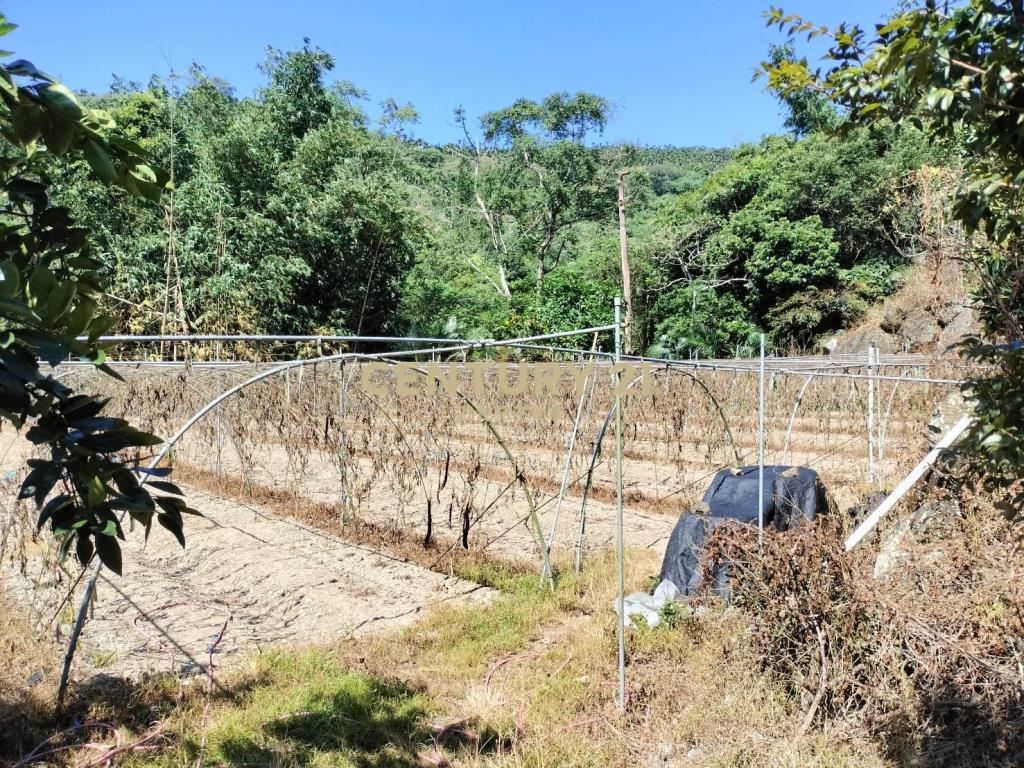 水里建地+景觀農牧用地(買地送屋)