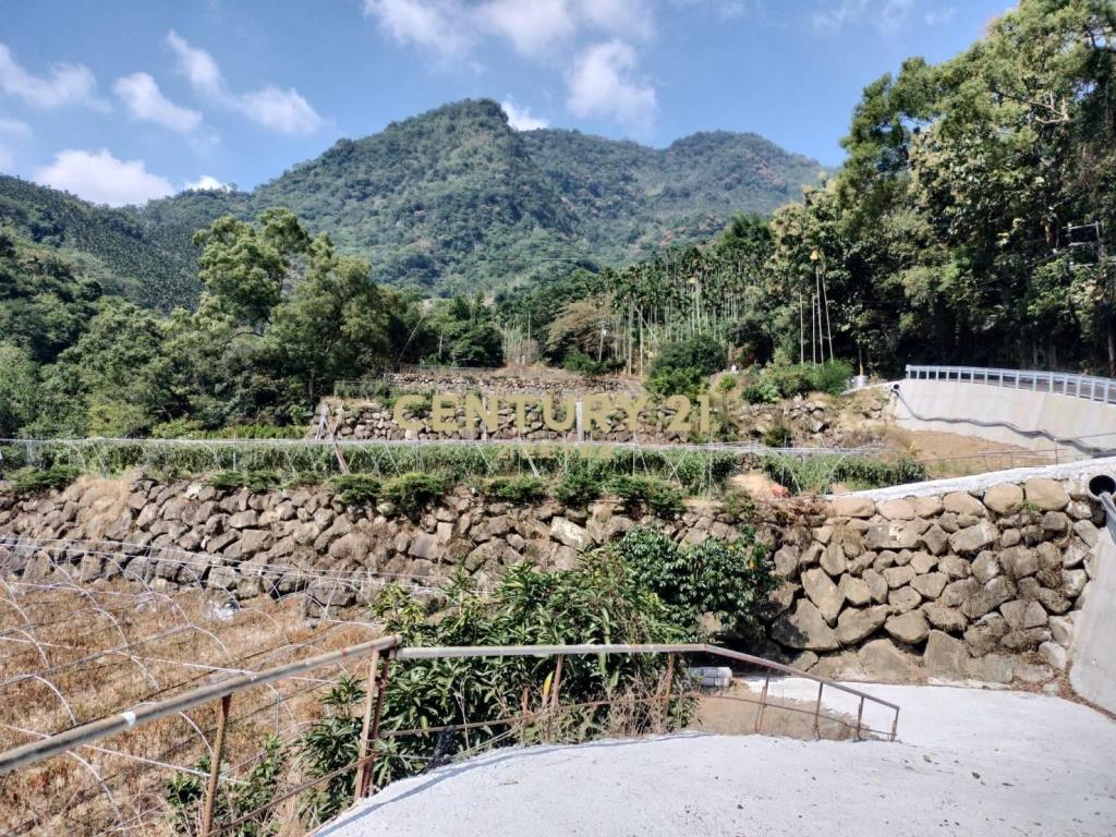 水里建地+景觀農牧用地(買地送屋)