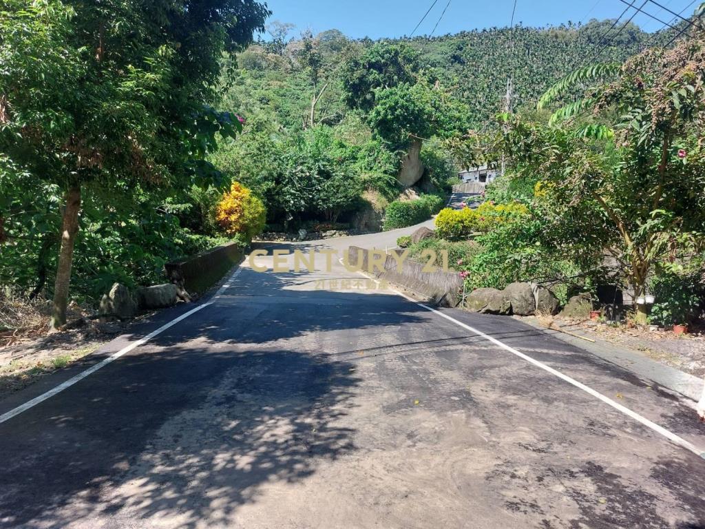 水里建地+景觀農牧用地(買地送屋)