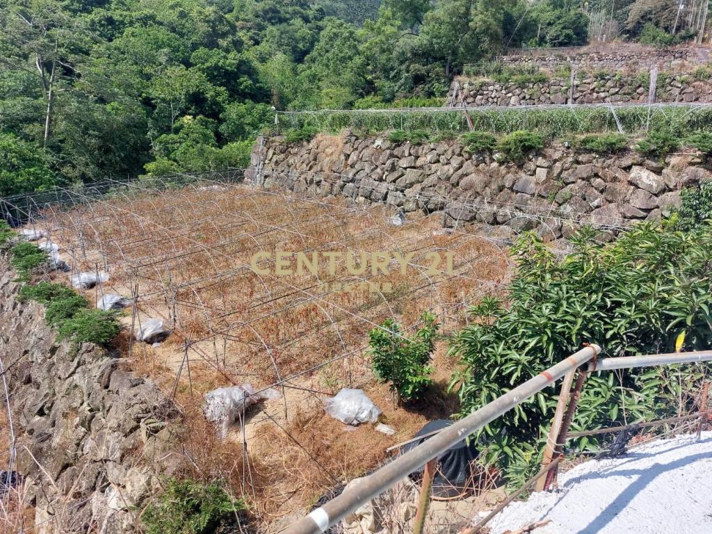 水里景觀農牧用地