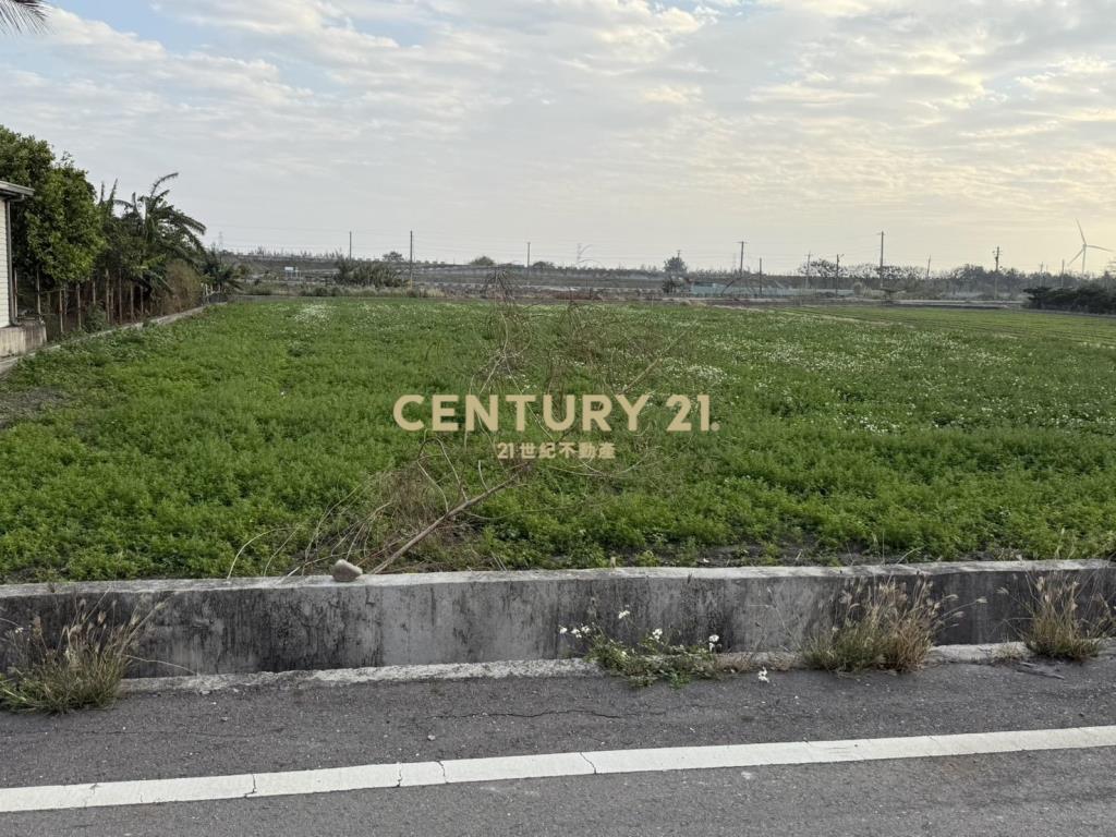 獨家彰化大城便宜農地