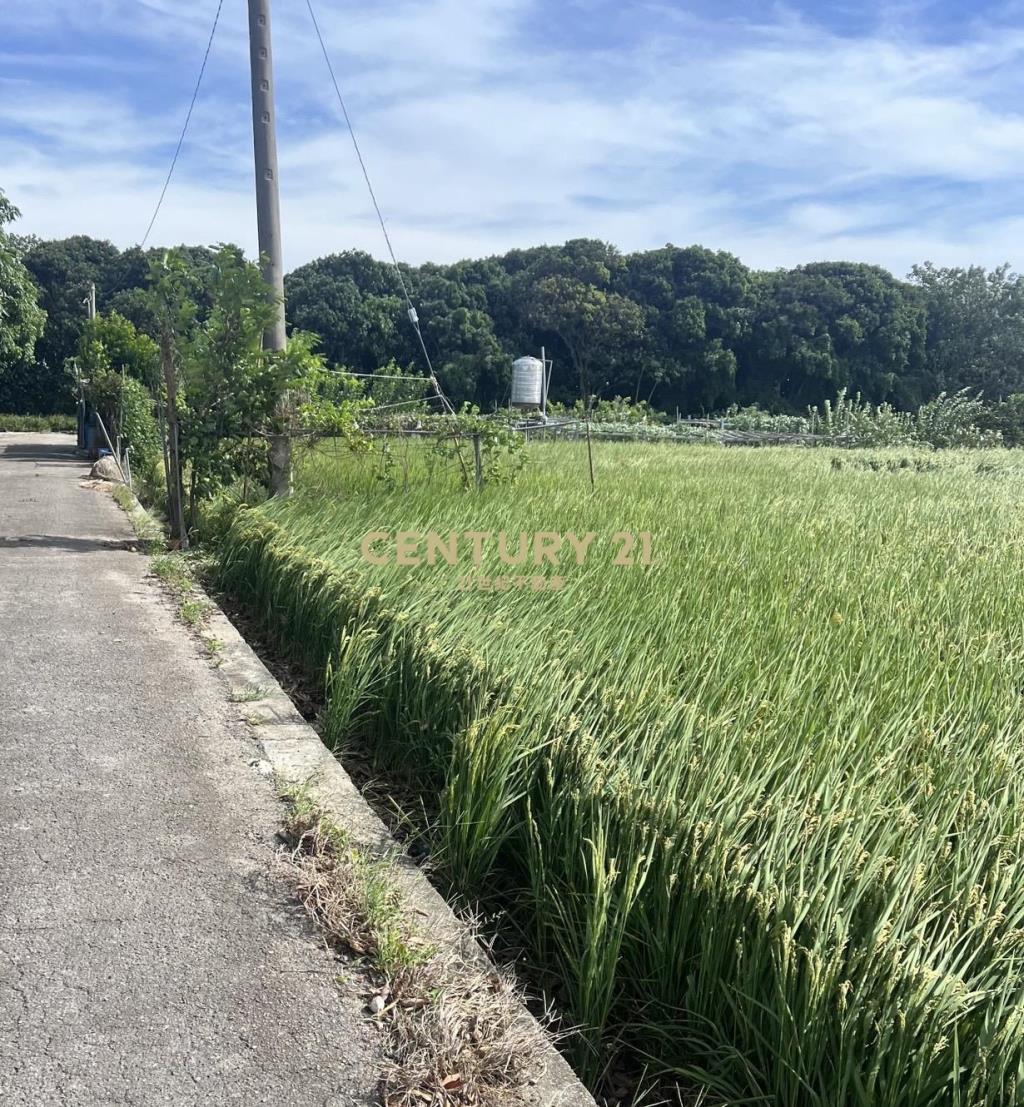 神岡區光復段農物用地