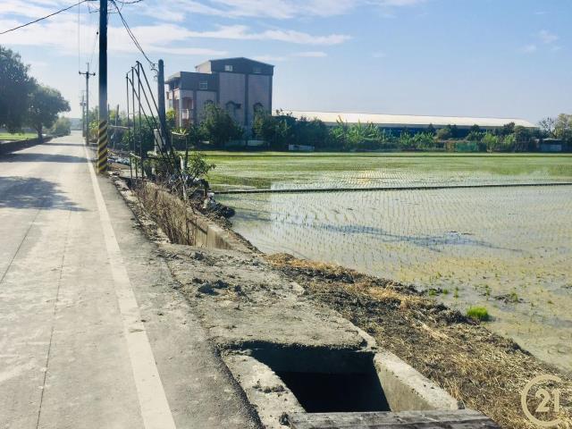 彰化員林重劃農地正道路旁-有水電