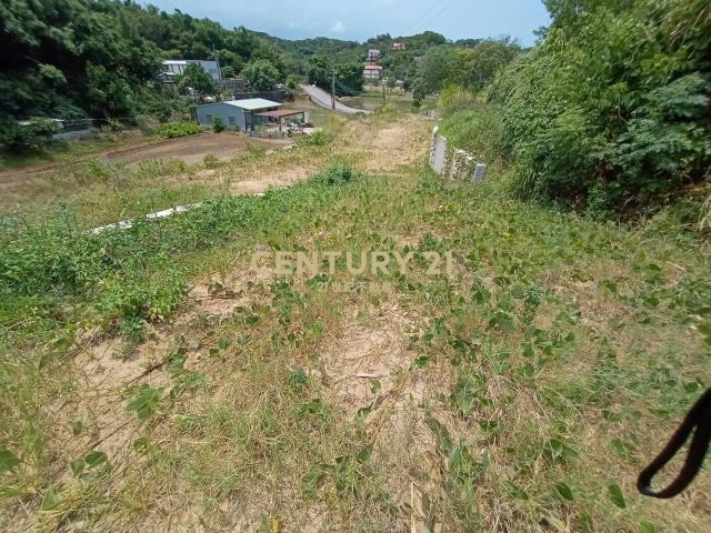 造橋建地+農牧用地