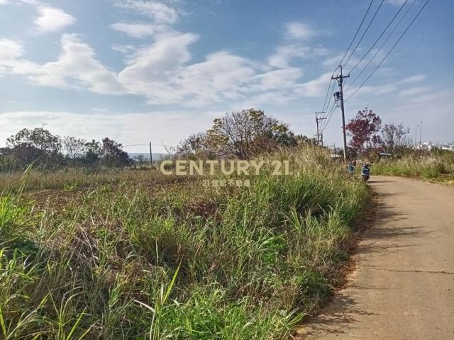 沙鹿七賢路農地